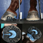 Ufer 35 ein schneller Satz-zweiteiliger Silikon-Form-Kitt für die Herstellung von Auflagen für Pferdehuf verbessern Sorgfalt